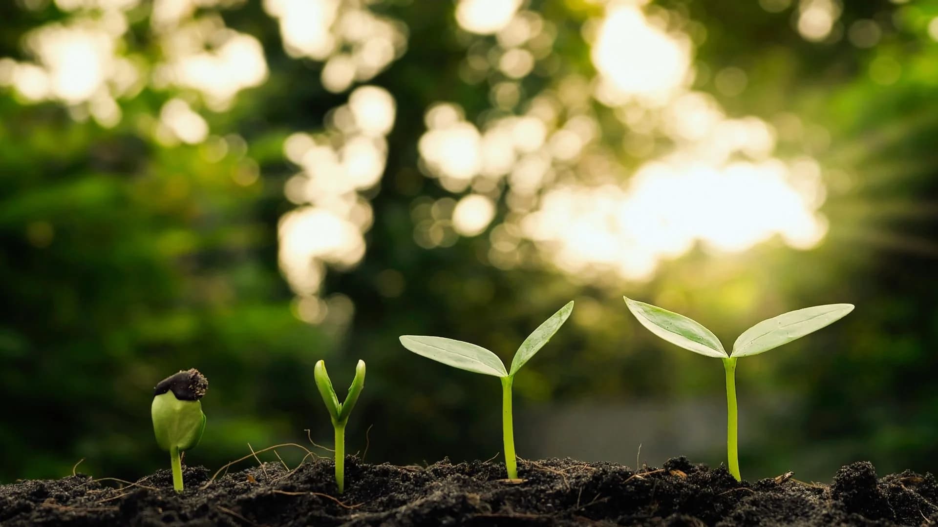 Agricultural investment landscape
